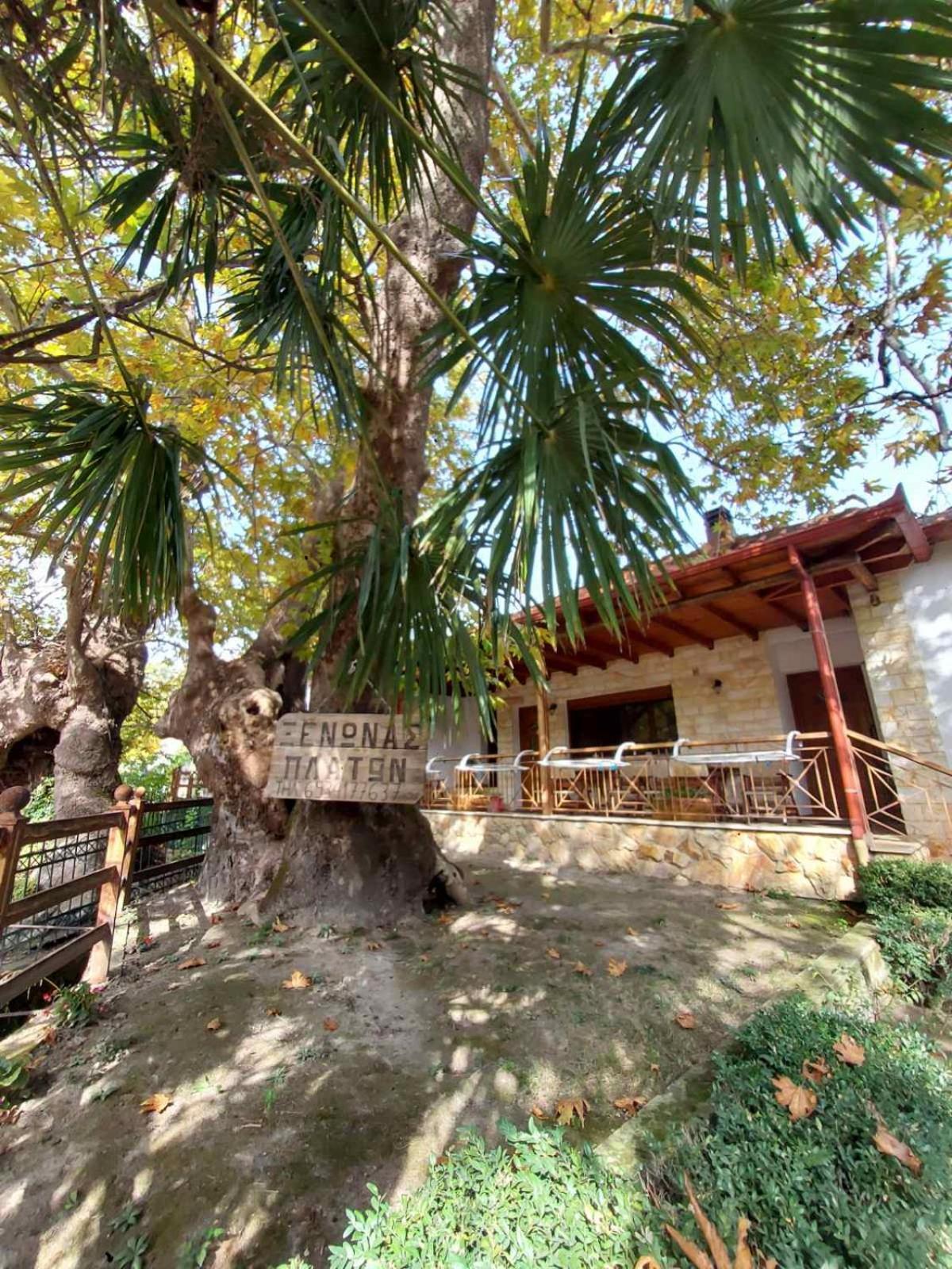 Guesthouse Platon ออร์มา ภายนอก รูปภาพ