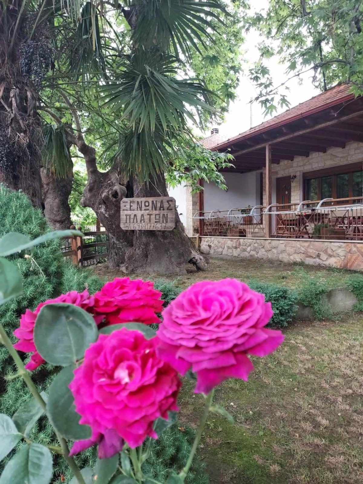 Guesthouse Platon ออร์มา ภายนอก รูปภาพ
