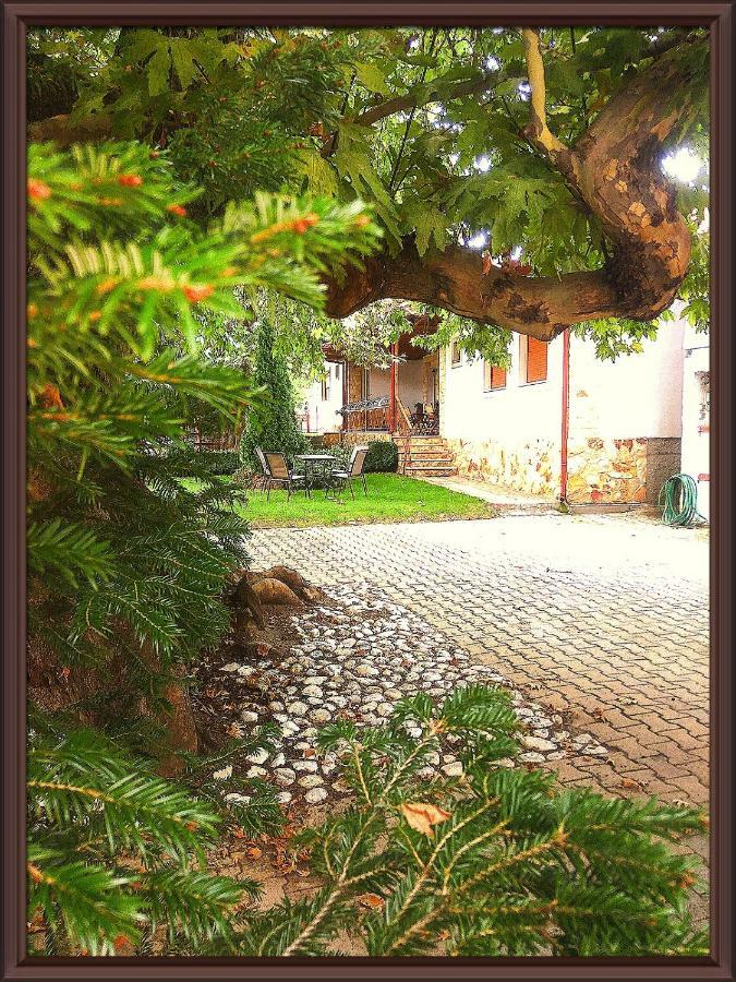 Guesthouse Platon ออร์มา ภายนอก รูปภาพ