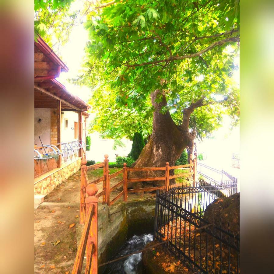 Guesthouse Platon ออร์มา ภายนอก รูปภาพ