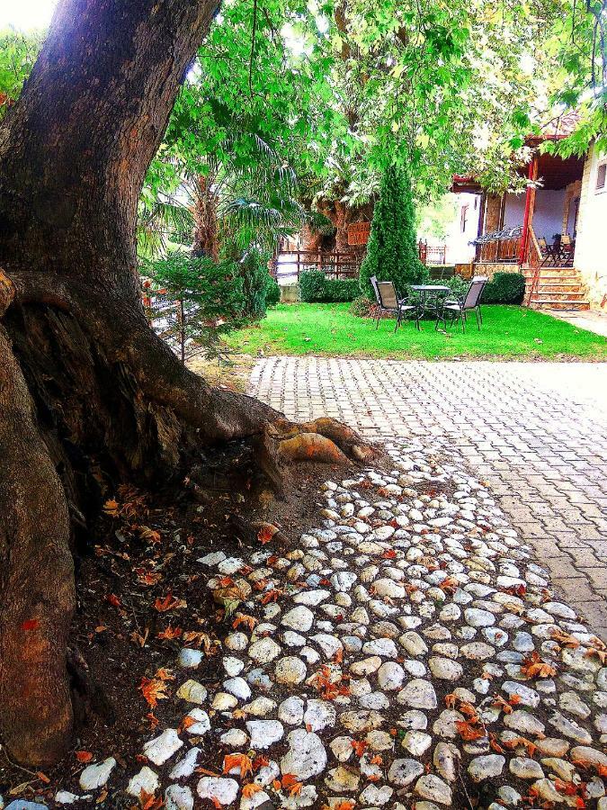 Guesthouse Platon ออร์มา ภายนอก รูปภาพ